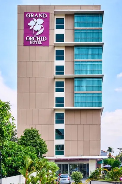 grand orchid 480x720 under 100kb